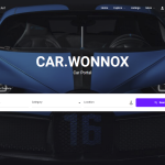 car.wonnox
